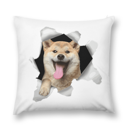 Plush Pillow Case